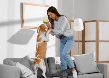 Pet-Proofing Your Home: A Guide to Safe and Sustainable Living for Your Furry Friend