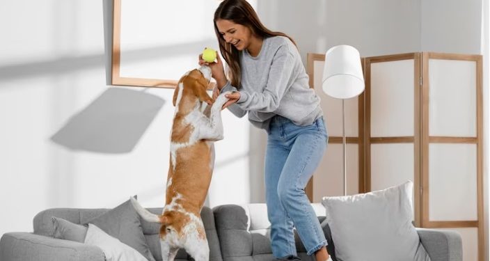 Pet-Proofing Your Home: A Guide to Safe and Sustainable Living for Your Furry Friend