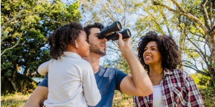 The Best Camera Brands for Birdwatching Enthusiasts: A Comprehensive Guide