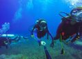 Optimal Time for Scuba Diving in Egypt
