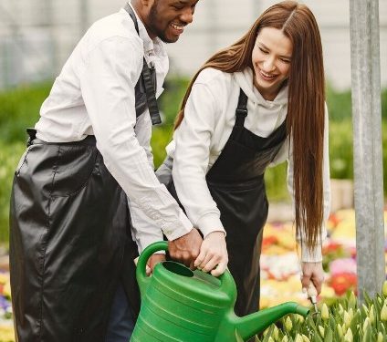 10 Essential Tips for Hiring the Perfect Commercial Landscaper