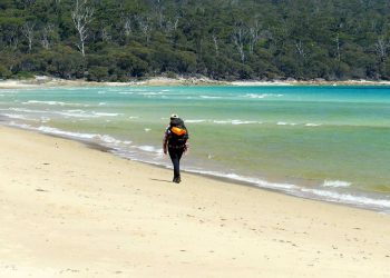 Discover the Hidden Gems of Tasmania with Airbnb: Your Ultimate Guide for an Unforgettable Stay!