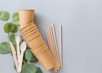 The Paradox of Eco-Friendly Straws: A Closer Look at Paper and Bamboo Alternatives