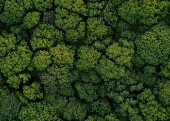 E-Waste Management Services in Singapore: The Importance of Electronics Disposal