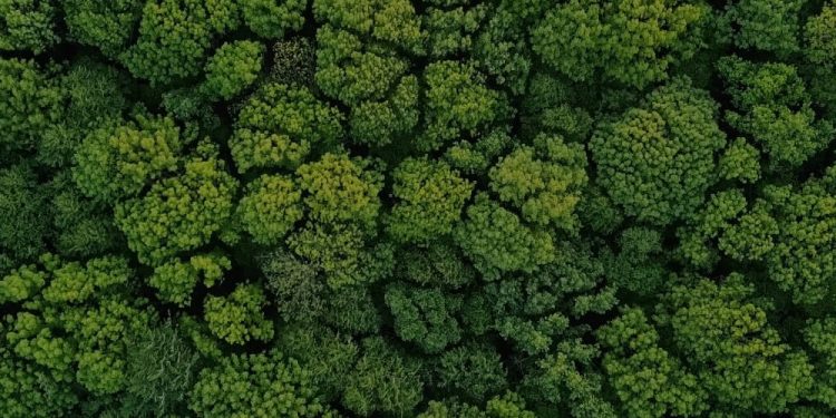 E-Waste Management Services in Singapore: The Importance of Electronics Disposal