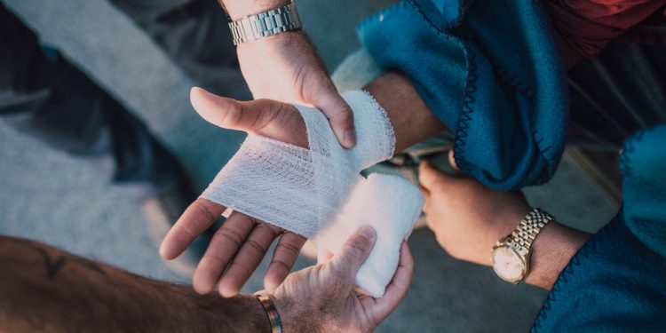 The Growth the City of Mobile Has Seen