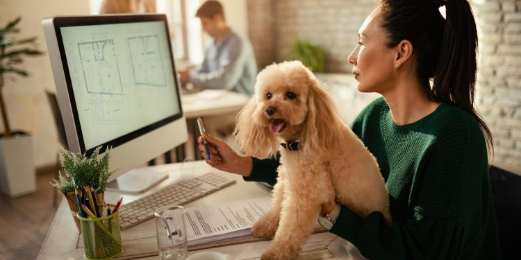 How to Include Your Pets in Your Huntsville Estate Plan