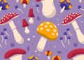 Finding the Ideal Mushroom Gummies for Your Wellness Journey