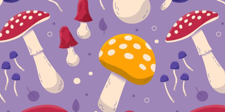 Finding the Ideal Mushroom Gummies for Your Wellness Journey