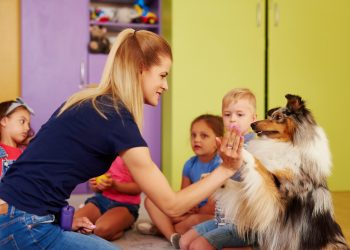 What Skills Are Taught in Basic Puppy Classes?
