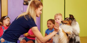 What Skills Are Taught in Basic Puppy Classes?