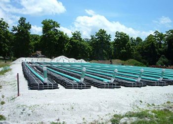 What Is a Leach Field and How Does It Work?