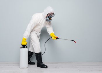 Huntsville Pest Control for Rare Invaders—Beyond Termites and Ants