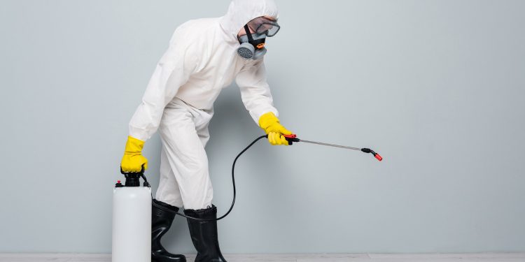 Huntsville Pest Control for Rare Invaders—Beyond Termites and Ants