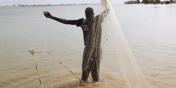 Experiencing the Adventure of Fishing Los Sueños Costa Rica