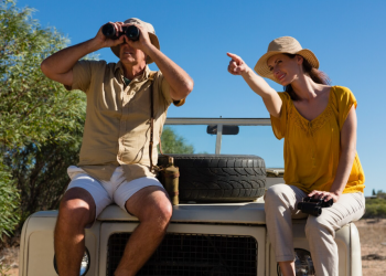 3 Reasons to Choose Manyeleti for Your South African Safari