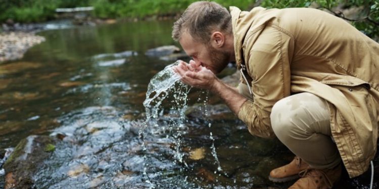 Ensuring Reliable Water Flow for a Healthier Landscape
