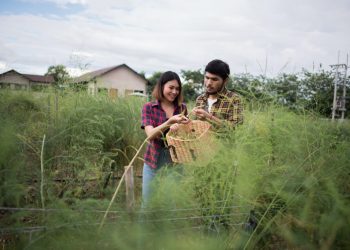 Keuntungan Desa sebagai Pusat Kehidupan yang Seimbang dan Berkelanjutan