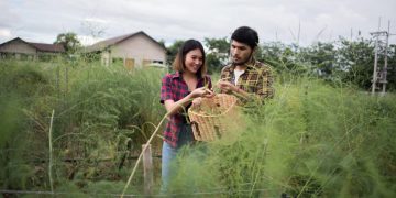Keuntungan Desa sebagai Pusat Kehidupan yang Seimbang dan Berkelanjutan