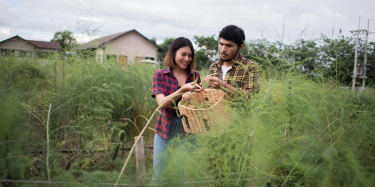 Keuntungan Desa sebagai Pusat Kehidupan yang Seimbang dan Berkelanjutan